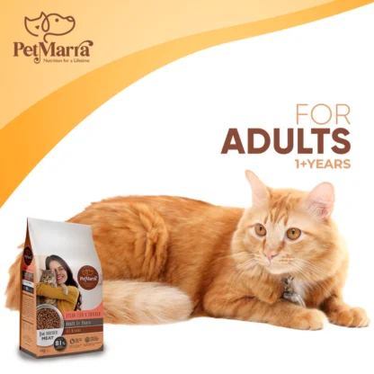 PetMarra Adult Cat/Kitten Dry Food Oceanfish Chicken Liver Flavor 1kg Collection cats kibble - Image 2